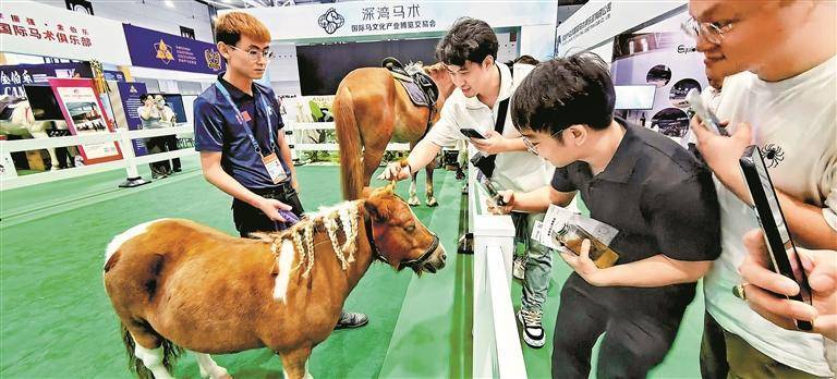 🌸飞猪视频【2024年正版免费资料大全】-片区文化大展演，—村一品绽放乡村魅力！常熟市支塘镇任阳社区开展文艺演出活动