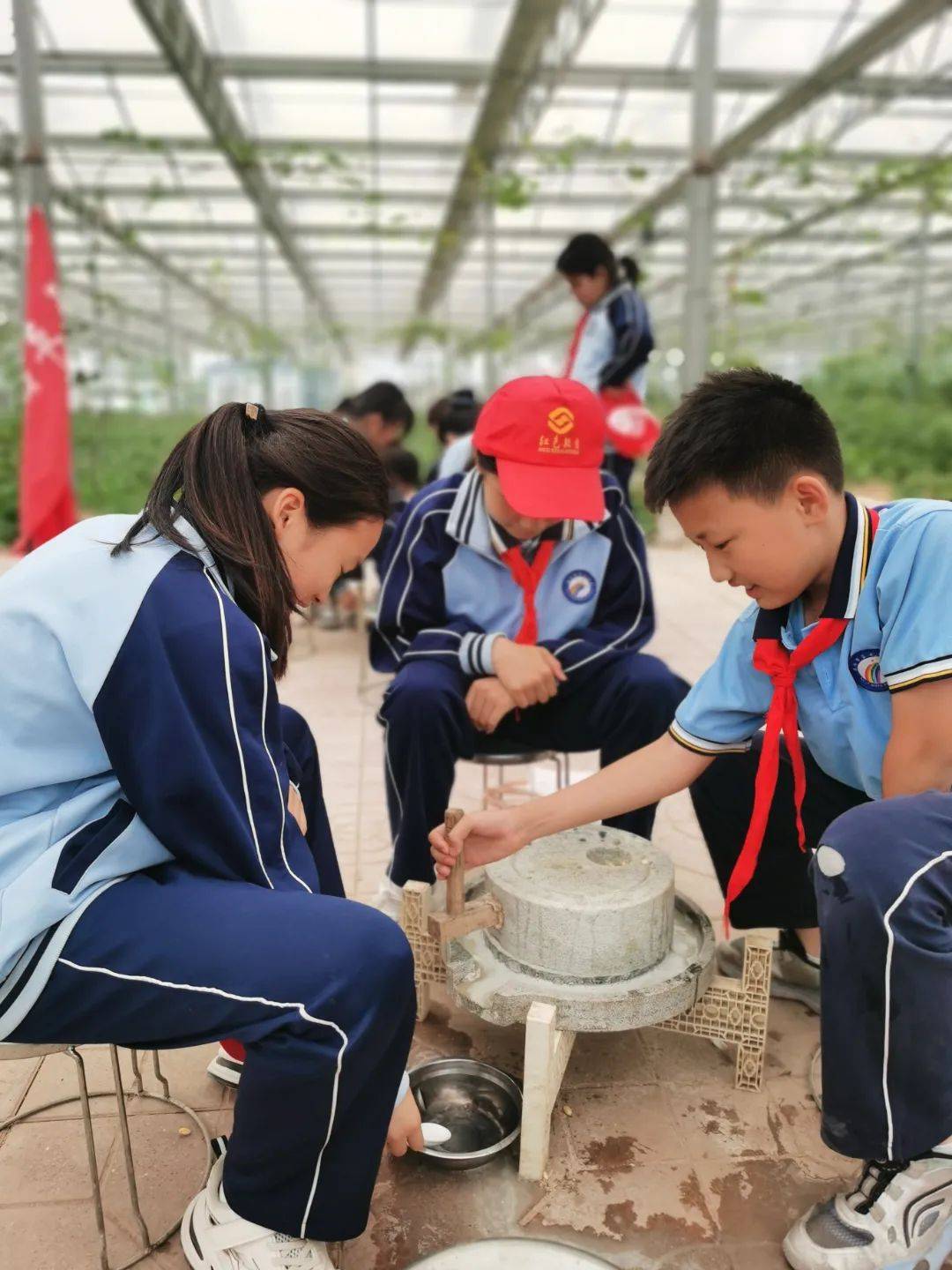 濮阳县第七中学图片