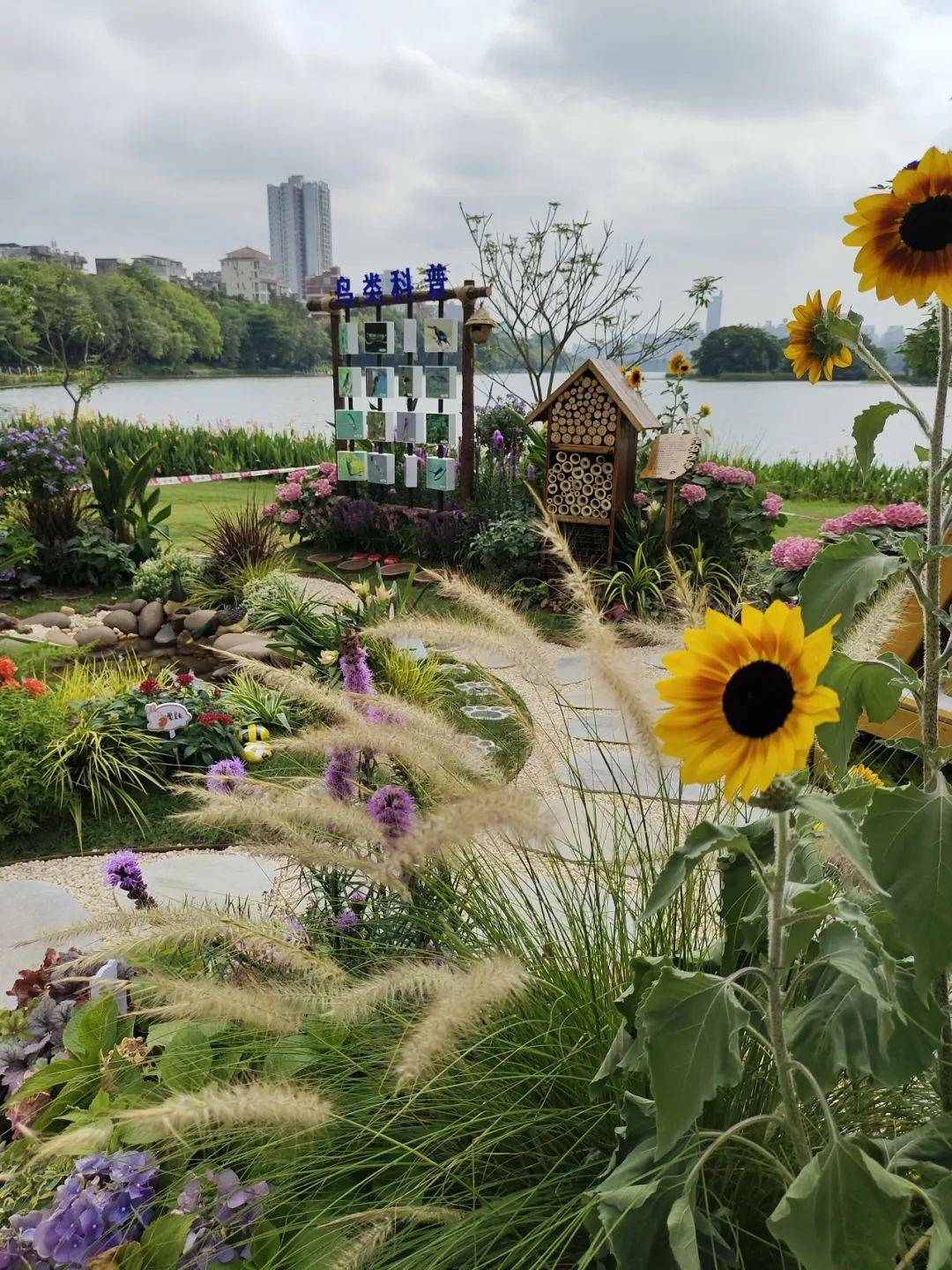 怎么也飞不出,花花的世界!赴一场繁花之约,打卡南宁最美花境