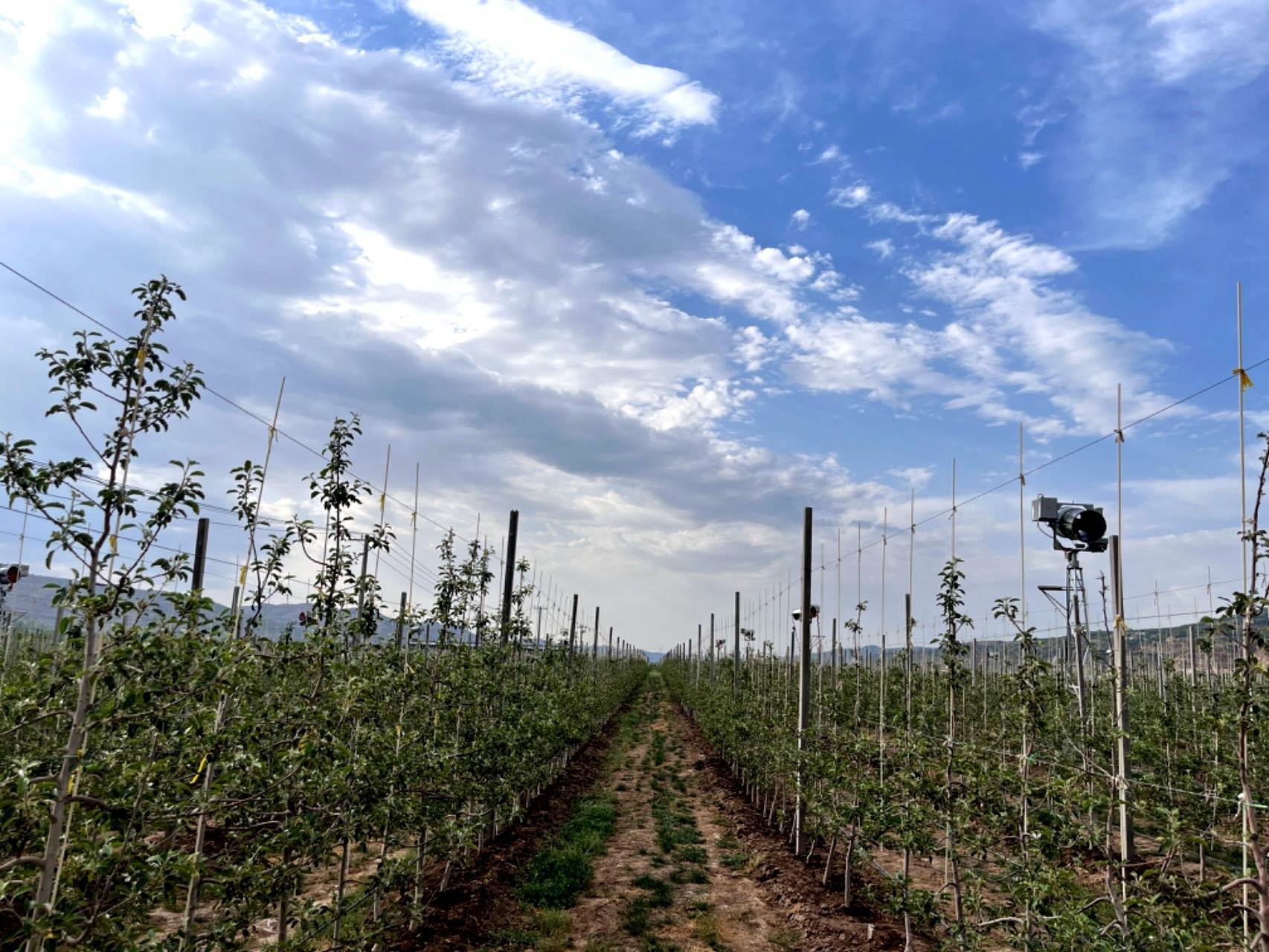 通过对接村"两委"获取各村苹果种植能手及苹果种植合作社等主体清单