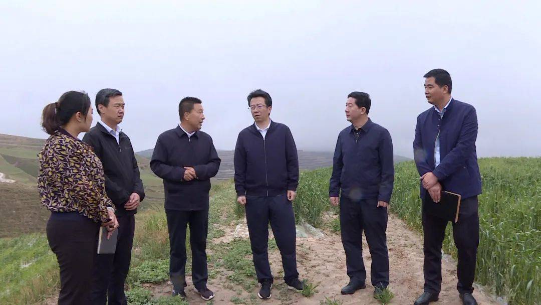 黄欣在临洮县调研_工作_基层_农业