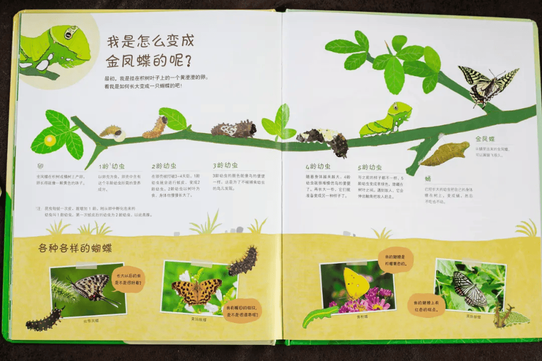 离婚7个月,章子怡罕见晒女儿,网友:这娃养得太好了!