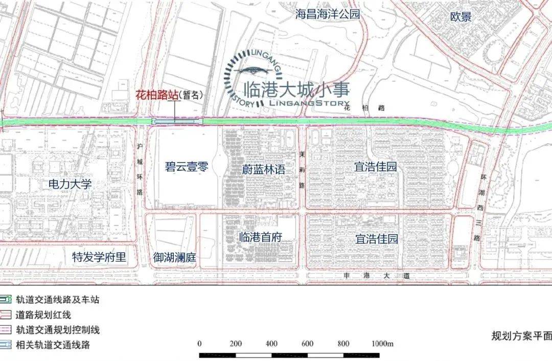 芦潮港发展规划图片