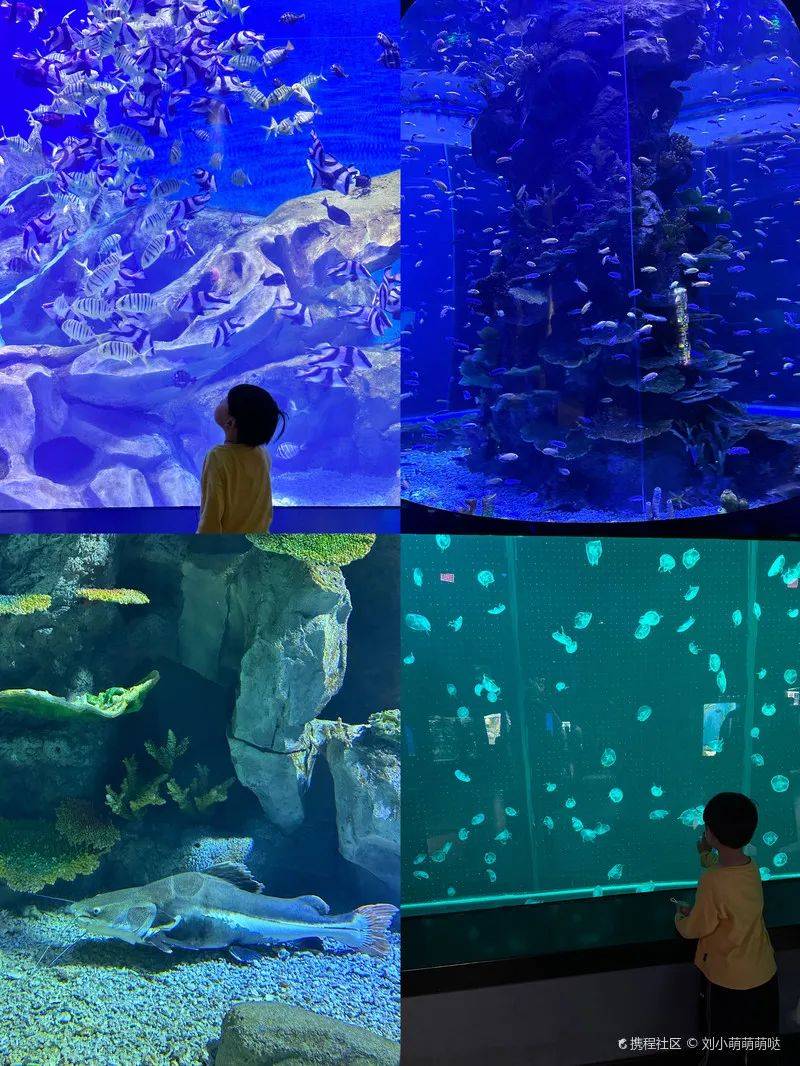 06 南宁极地海洋世界夜幕降临,华灯初上,邕江两岸的灯光璀璨夺目,映照