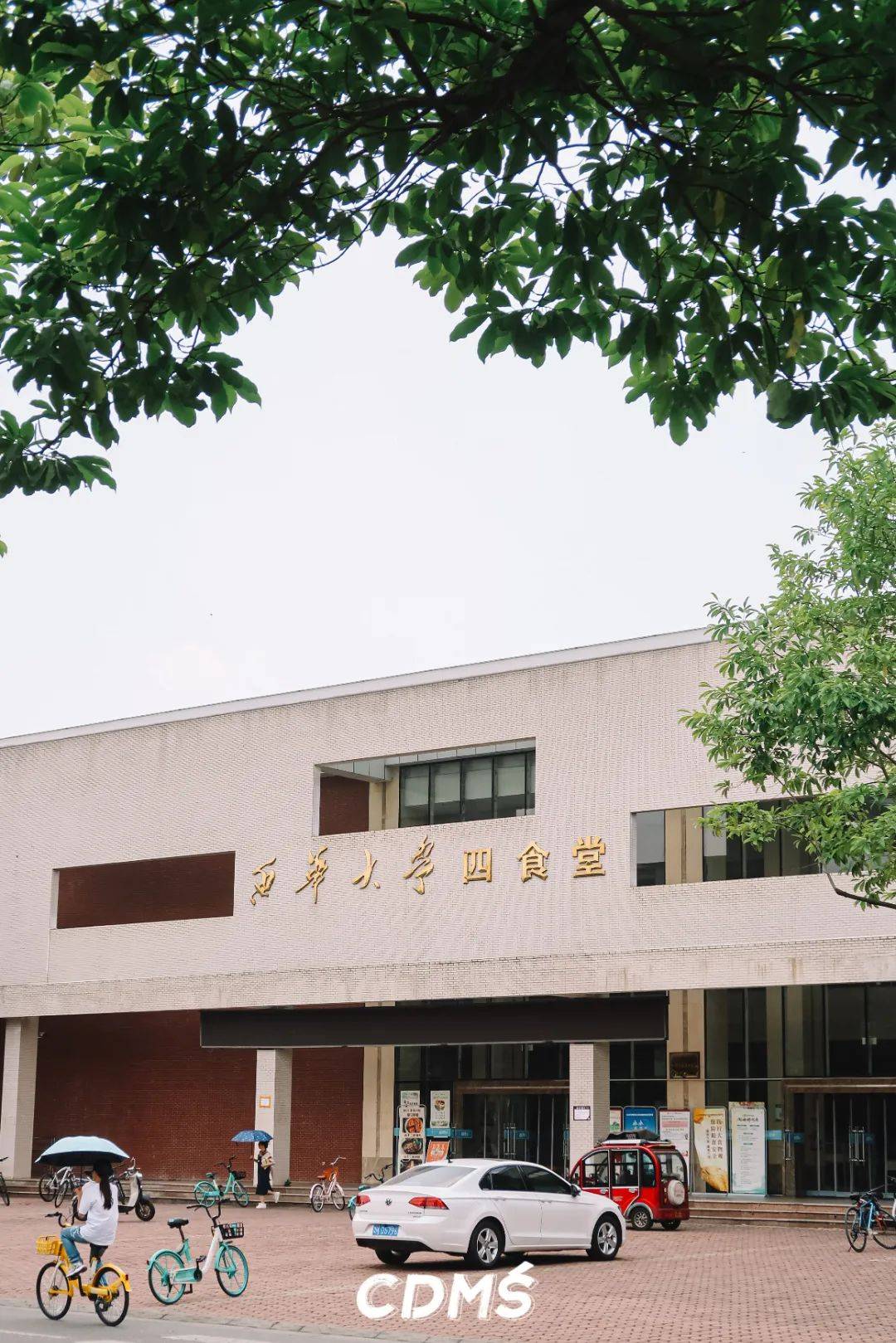 西华大学凤凰学院图片