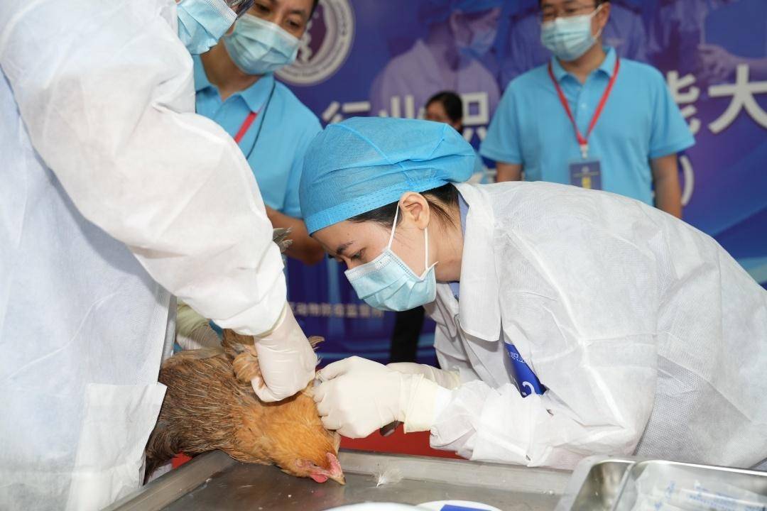 在屠宰过程的九个环节进行全方位无死角的检疫,筛查生猪口蹄疫,炭疽