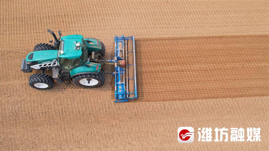 【更好潍坊】潍坊公布数字农业十大典型应用场景