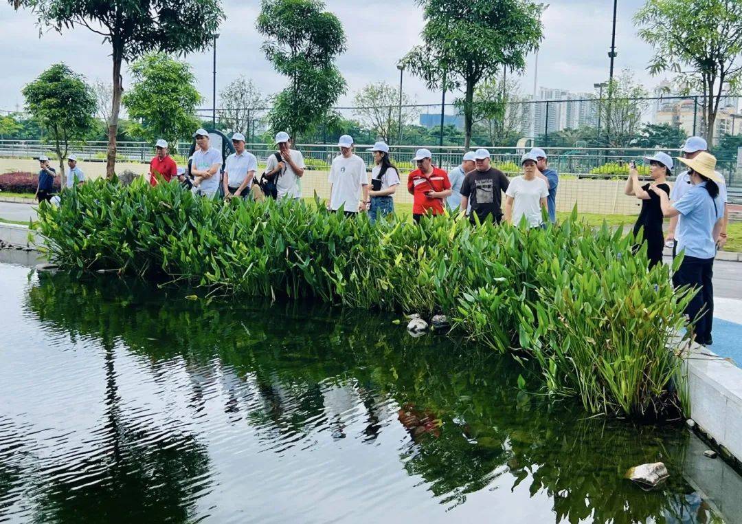 5月29日,江南生态环境局,青秀生态环境局分别组织了有关单位代表和