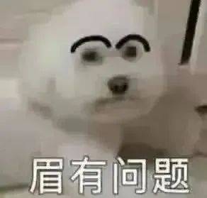 哥哥 带我 是超可的表情包噢