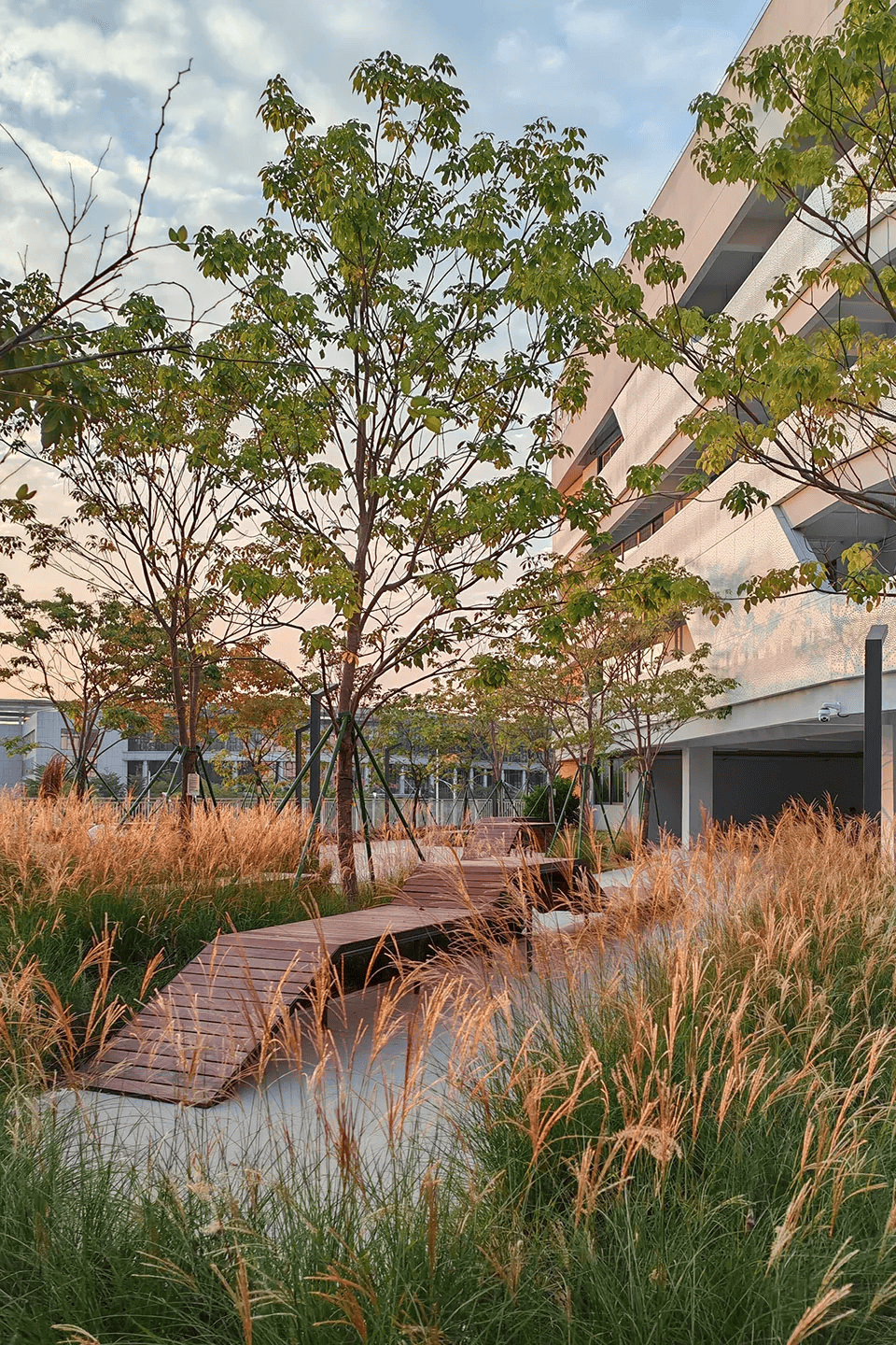 深圳又一座网红校园,南方科技大学附属实验学校 / 立方设计