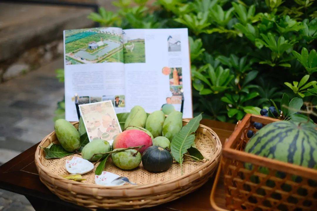 电商培训赋新能,助农惠民促振兴——新安所"小敏来