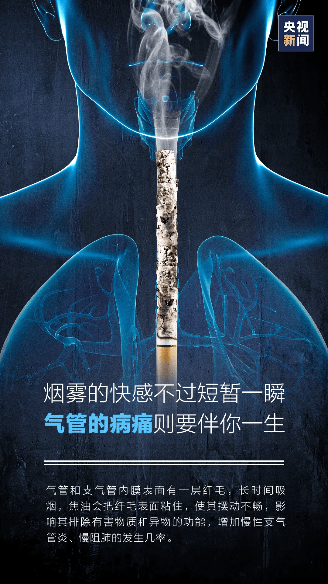 世界无烟日 | 戒烟海报:别抽了! 新闻调查:戒烟门诊的尴尬与无奈