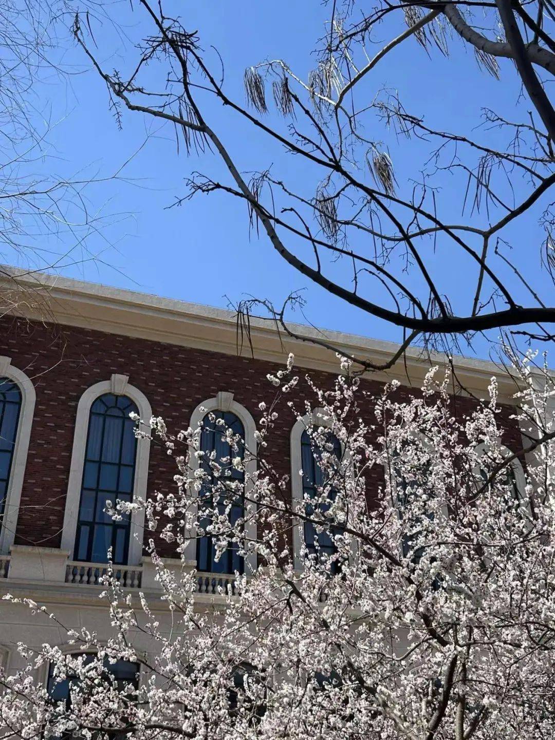 "晓"矩阵 | 外国语学院:毕业季,致闪闪发光的你!