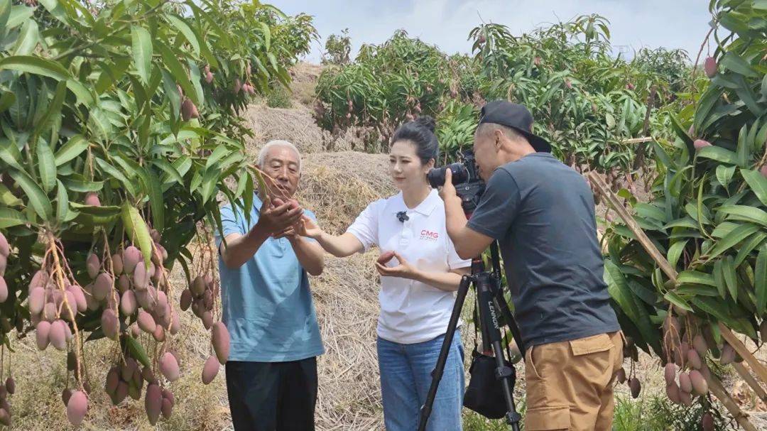《消费主张》摄制组来到攀枝花市仁和区,分别在大龙潭乡混撒拉村,拉鲊
