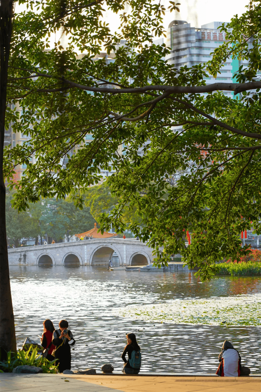 广州市内公园图片