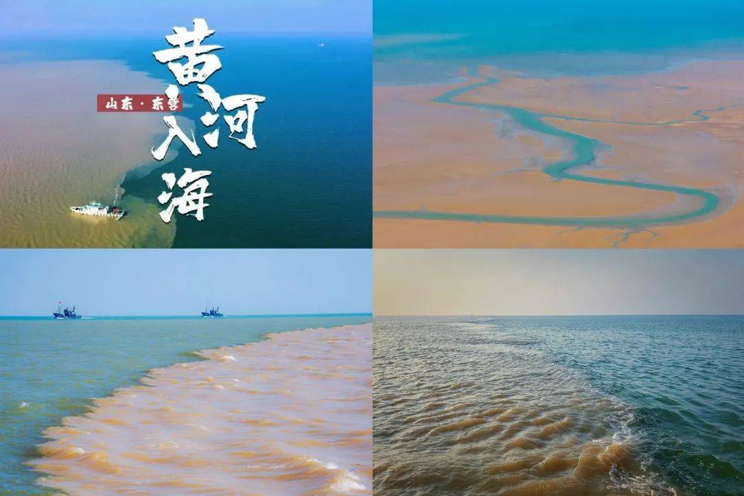 在黄河入海处,看母亲河带着大半个中国的泥土气息汇入大海,看浑厚的