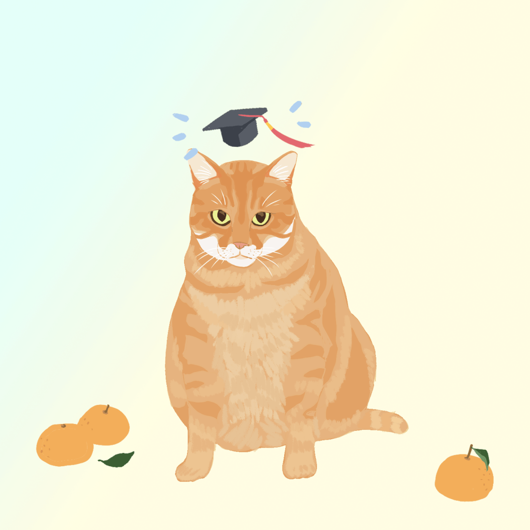 北大"小动物同学",带着高考祝福惊喜来袭!