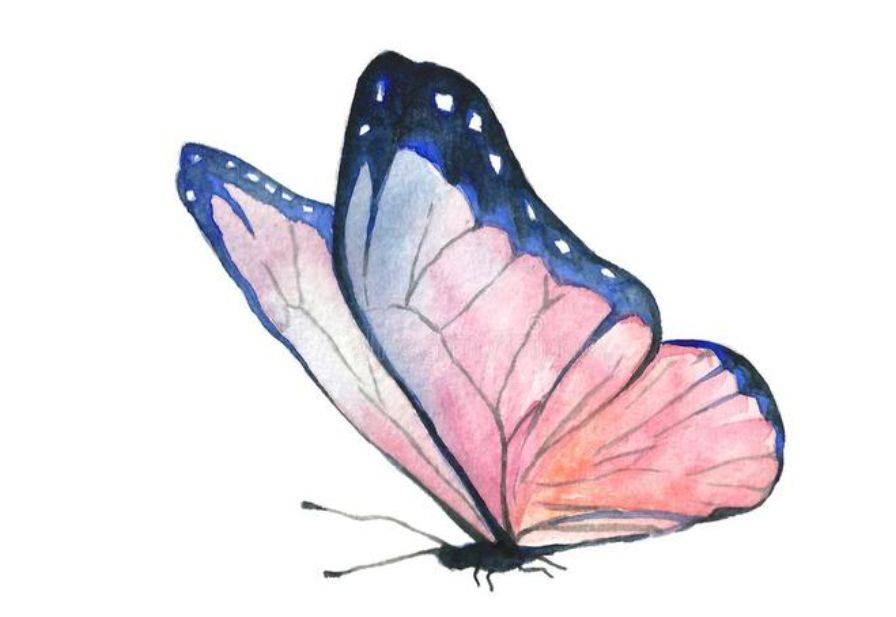 水彩笔下的果汁太诱人了吧~美食插画手绘▽▽▽▽▽返回搜狐,查看更多