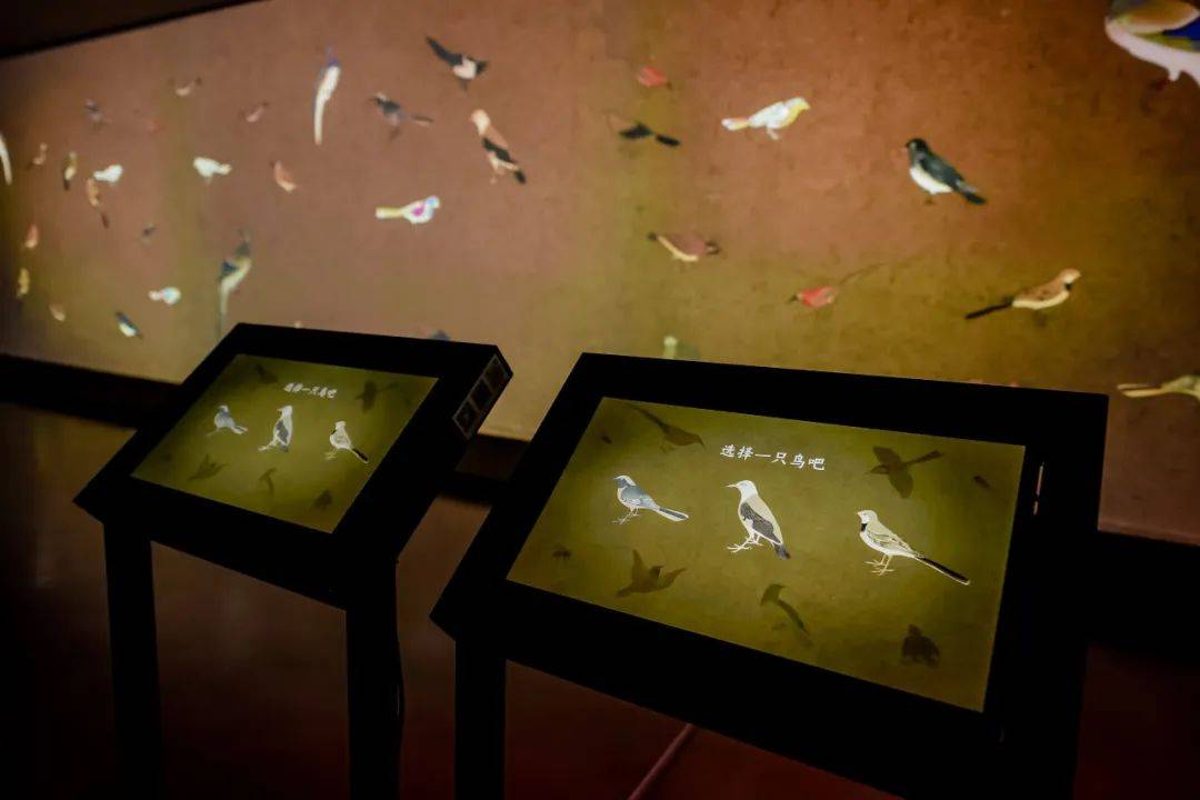 "5.18国际博物馆日"系列活动精彩回顾