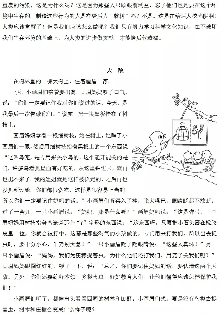 漫画作文图片及范文图片