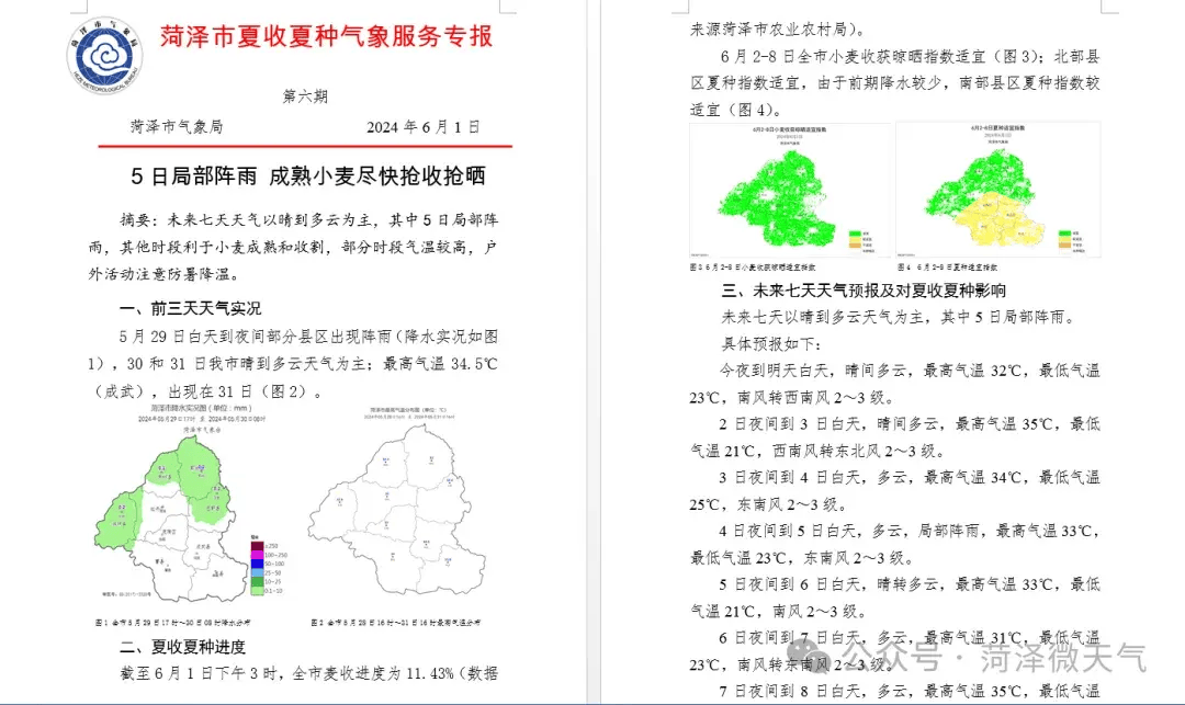 菏泽:天气有雨吗?精细化服务助力麦收_气温_预报_气象