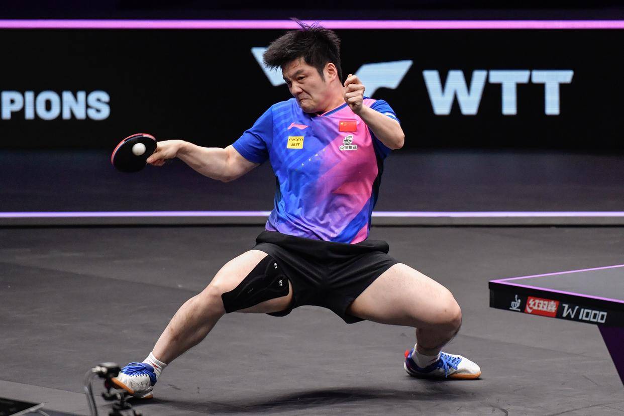 (体育)乒乓球——wtt重庆冠军赛:樊振东晋级决赛(2)
