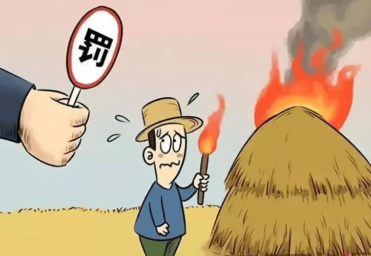 我们倡议:秸秆禁烧应该这样做