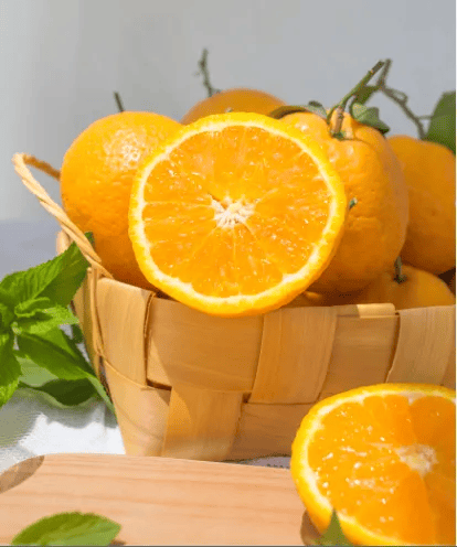 丑皇后晚熟柑橘的每个橙子果粒里,都包裹着满满的汁水,像橙汁小炸弹一