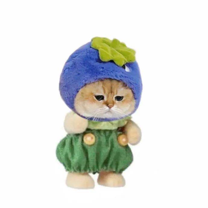 有点可爱的猫猫白底头像