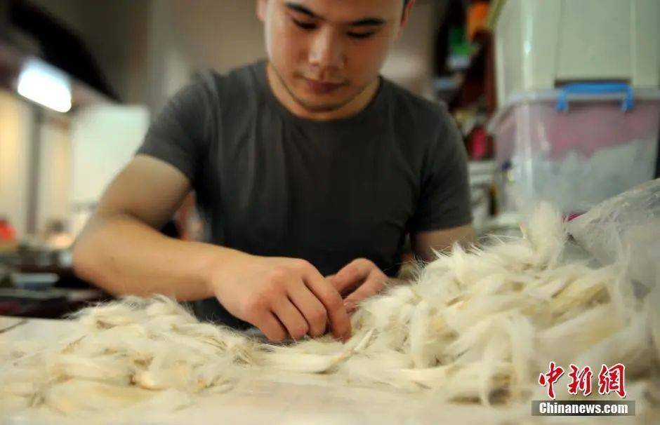 小城大业|你知道吗?中国80%的毛笔产自这个小镇