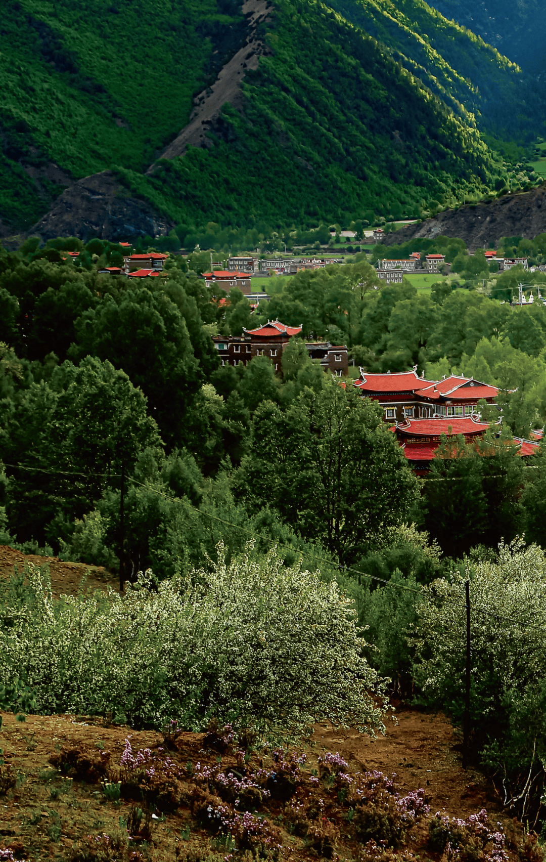 甲根坝_雪山_木雅