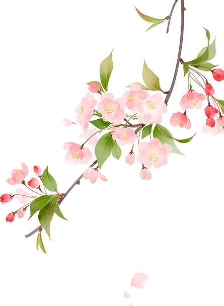 绝美!北林初夏图集