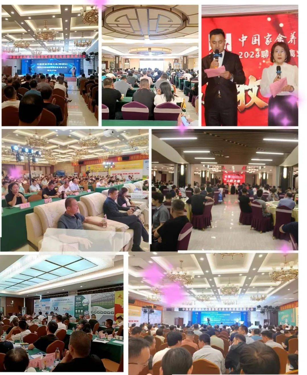 首站告捷!2024中国家禽养殖大会(聊城站)在莘县胜利闭幕