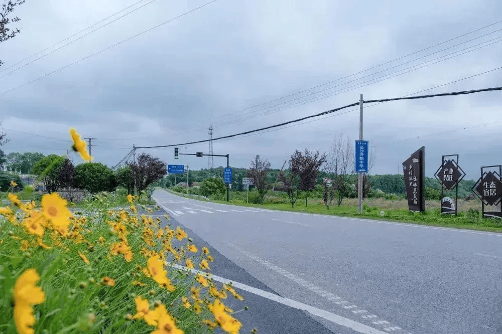 青春湖南丨上榜全国最美!湖南这条路的美景藏不住了