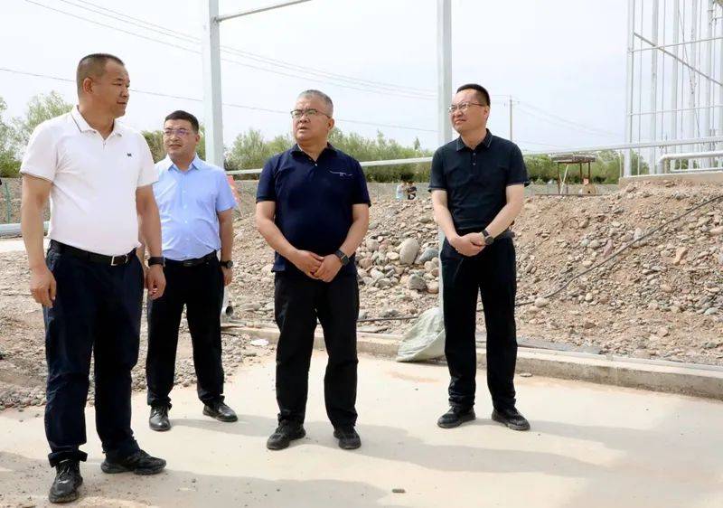 张鹏调研乡村振兴工作_建设_产业_农村