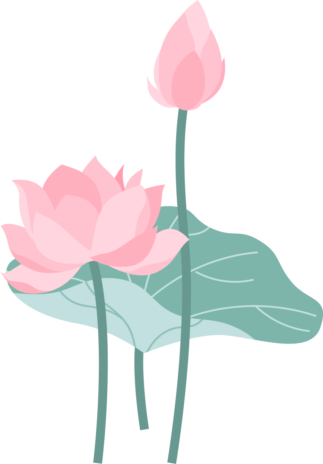 二,术后完全排空球囊后拔管,穿刺点弹力绷带加压包扎或血管缝合器缝合