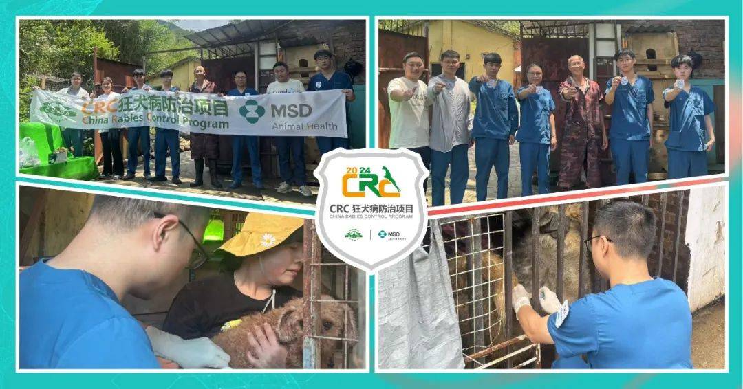 2024 crc 5月|进度喜人!55个基地完成注射12950头份狂犬疫苗