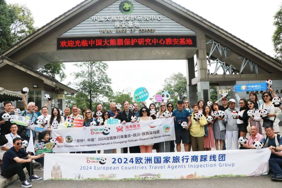   欧洲国家的游客来中国考察和参观雅安的大熊猫。