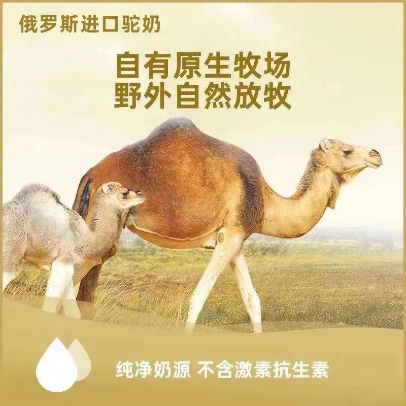 1杯骆驼奶粉=10杯牛奶升级高钙低脂,热销5年的俄罗斯进口驼奶粉,天然