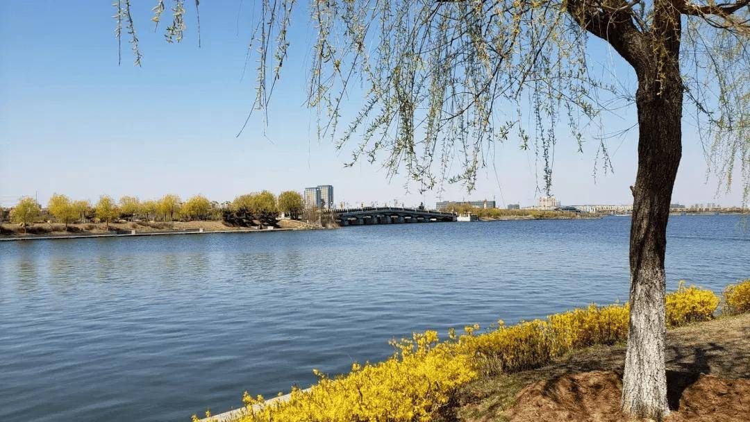 藏不住了,北方"小西湖"犹如仙境一般,就在青岛