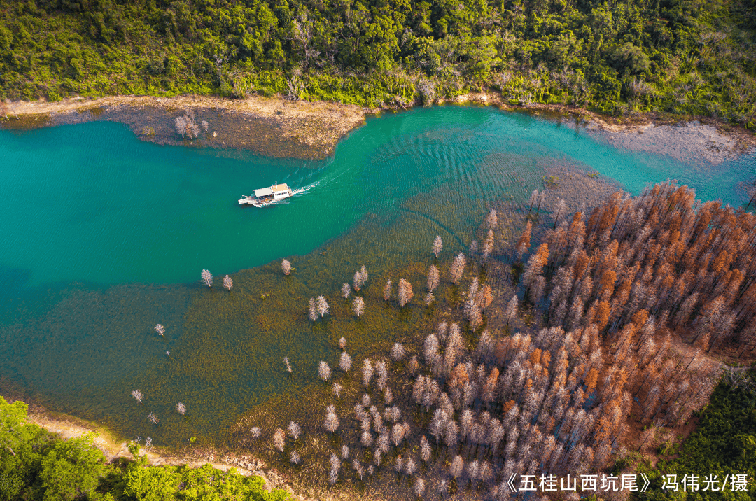 令人骄傲的是,2023年中山国考断面水质优良比例,全市市级集中式饮用水