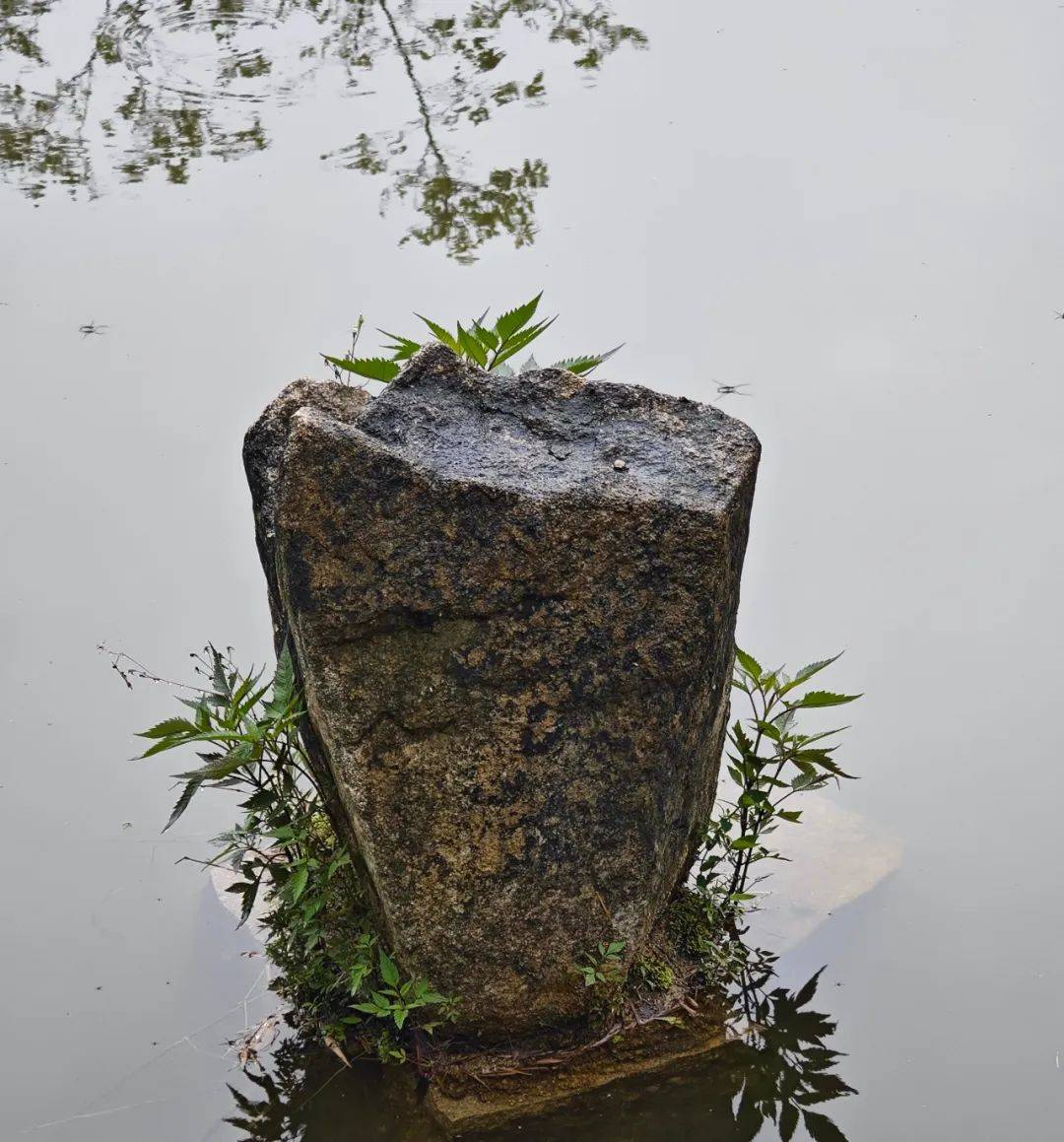 吴传兵:对一座山的注释(组诗)