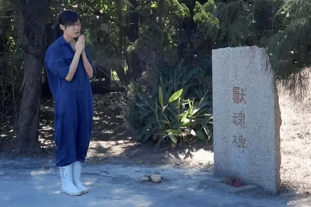 女子安乐死700多条流浪狗,结婚没多久,她把安乐死的药剂推进了体内