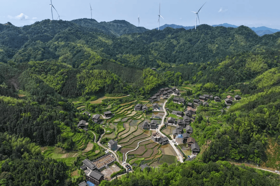 李尚引 摄(湖南图片库)该县森林覆盖率达79.54%,比全省高出19.