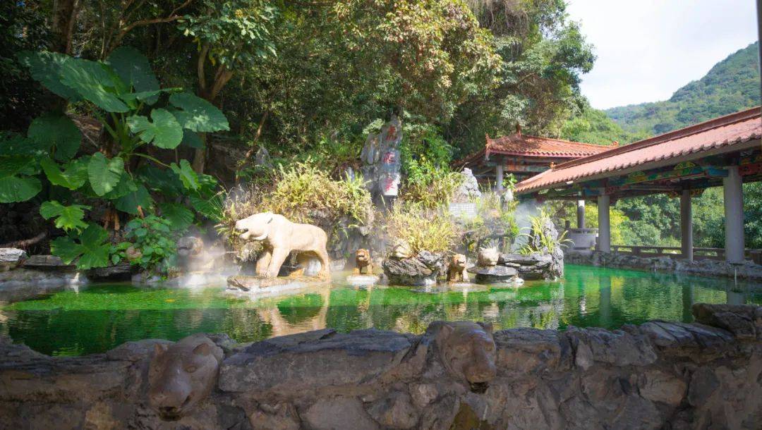 在三平寺塔殿东侧,有一汪水池,池中建造一座太湖假山,假山中镌刻"虎爬