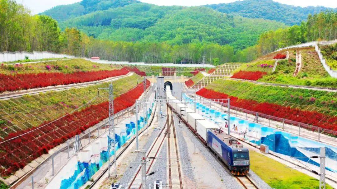 目前,中老铁路运输服务网络已辐射至老挝,泰国,越南,缅甸等12个"一带