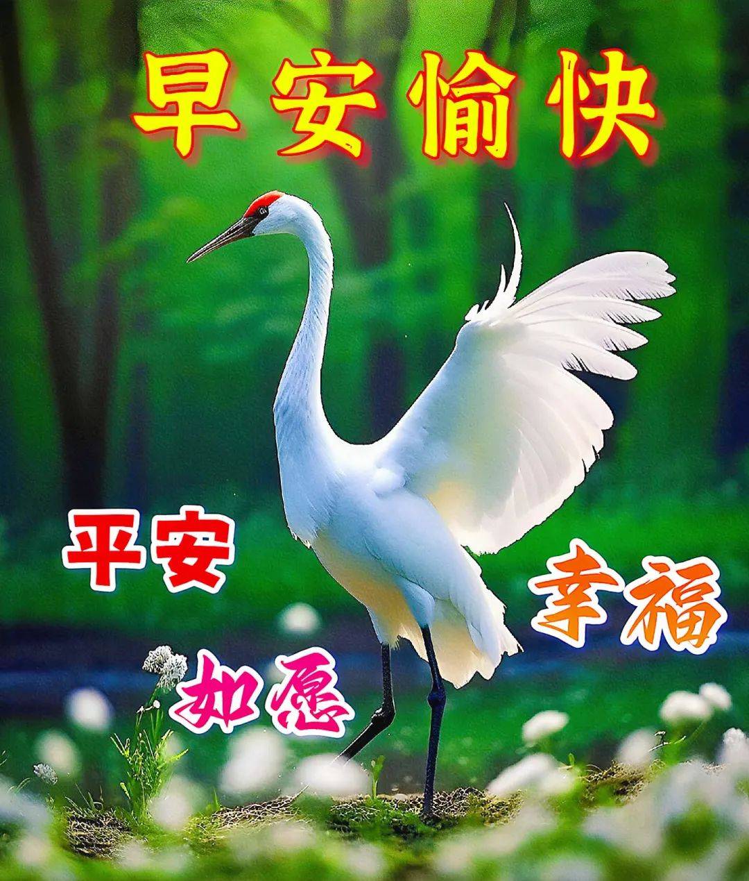 2024年6月6日最新早上好祝福语图片大全 精选早安问候祝福图片带字
