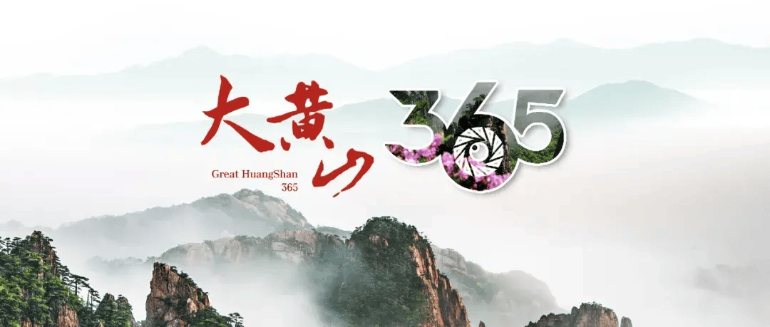 【大黄山365】黄山:"意外来客"的暖心故事,人与自然的和谐赞歌