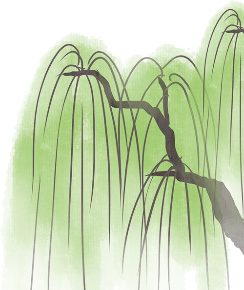 端午习俗知多少——归类篇