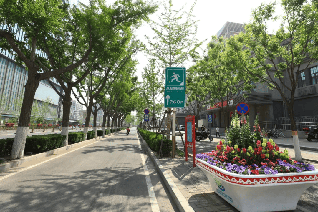 商洛日报:澳门王中王必中一肖一码-城市：朝阳区香河园街道“双报到”党员助力首都花园城市建设  第1张